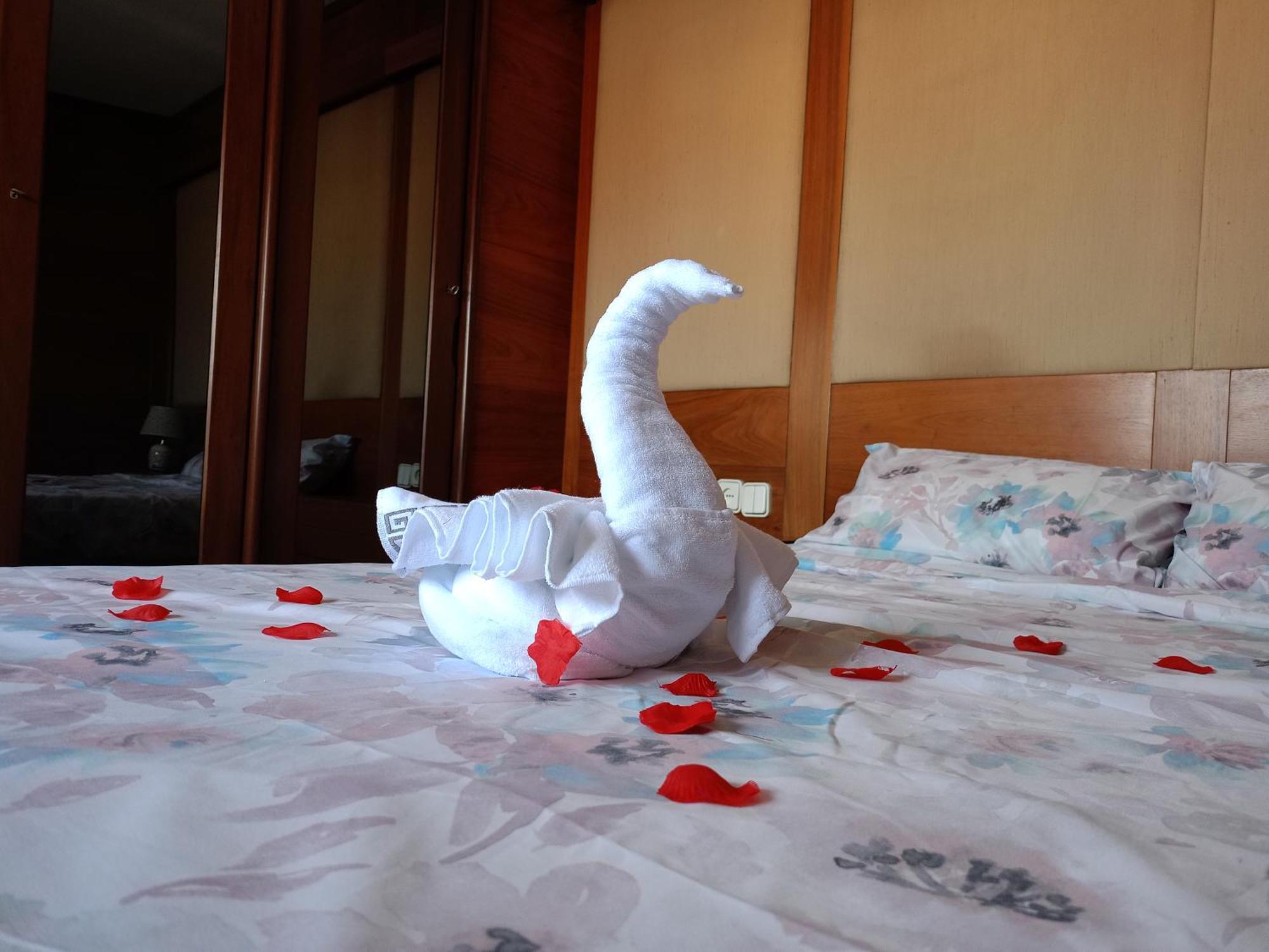 Angosta Host Accommodatie bij particulieren *